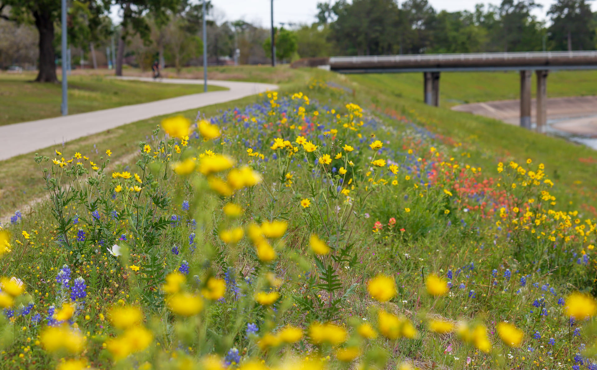 The Importance of Pollinator Gardens for Monarch Butterflies in the Spring