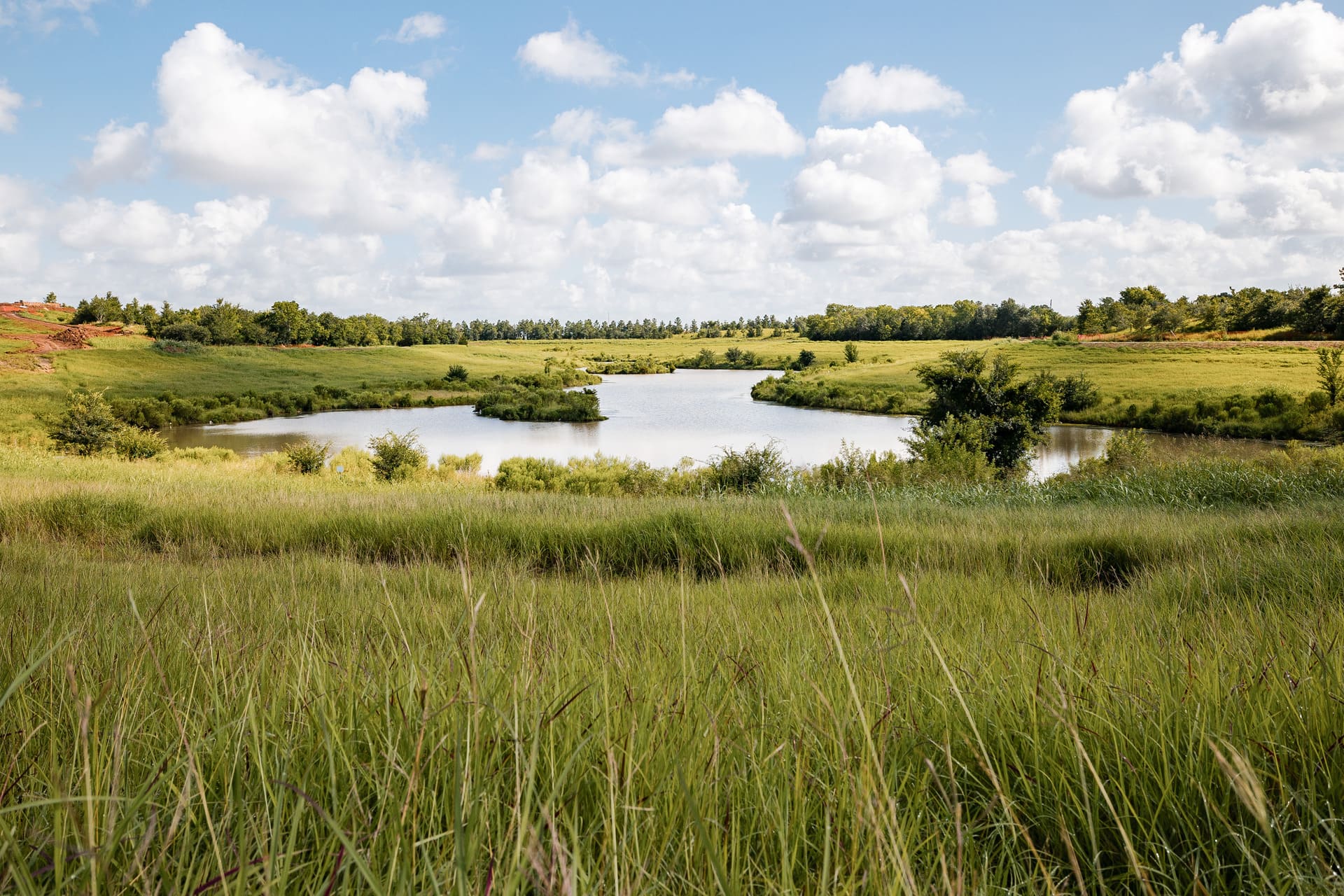 Forestry Assessments