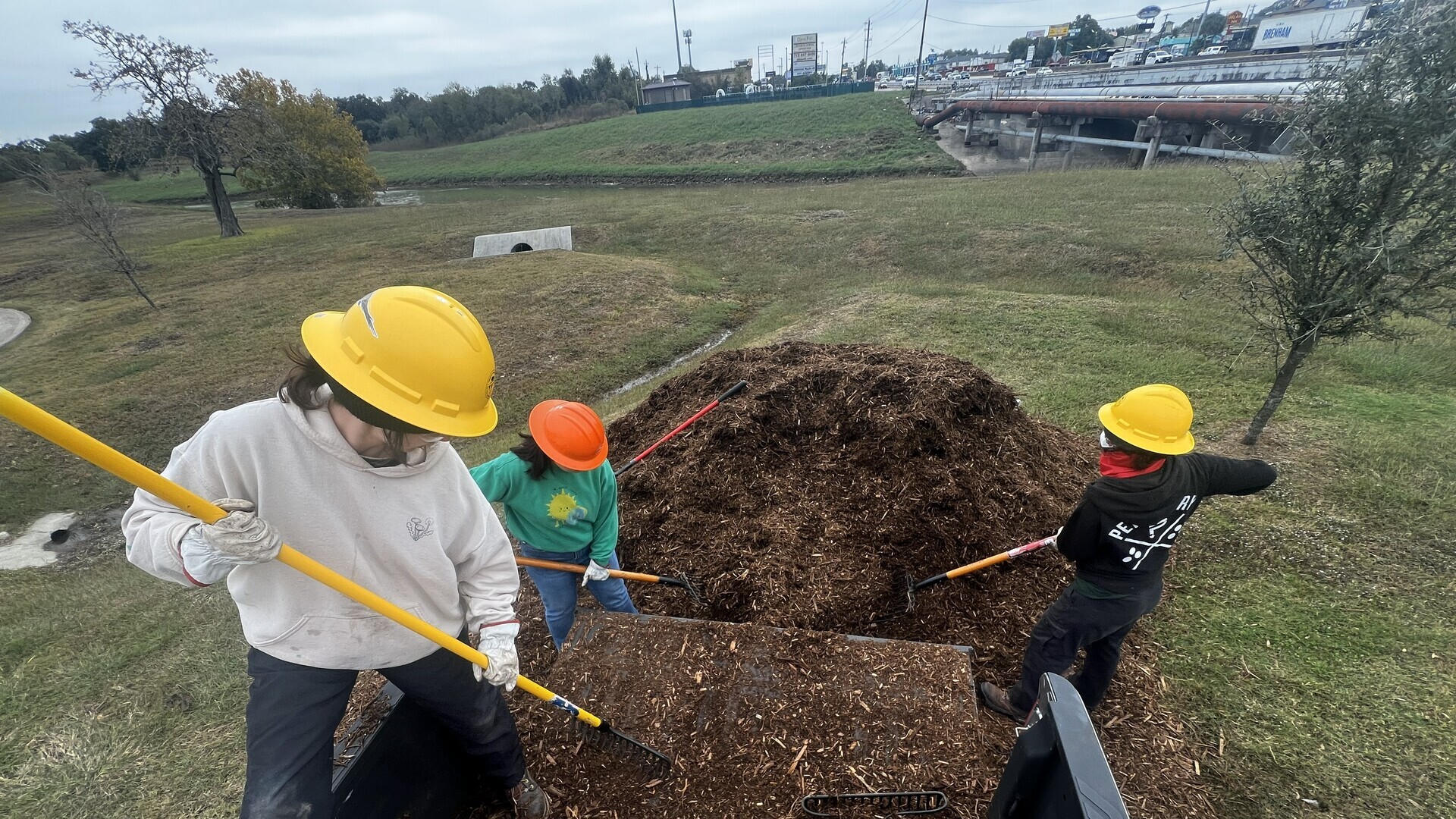ForUSTree Tree Planting Along Sims Bayou Greenway
